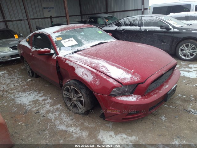 FORD MUSTANG 2013 1zvbp8am1d5243861