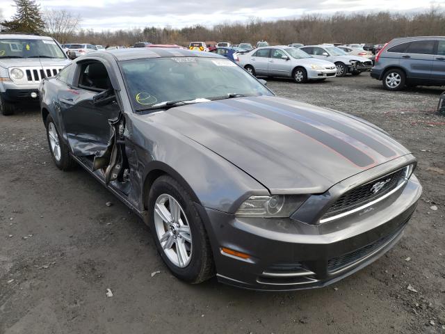 FORD MUSTANG 2013 1zvbp8am1d5245450