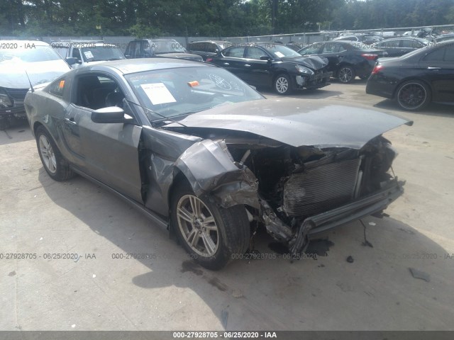 FORD MUSTANG 2013 1zvbp8am1d5248591