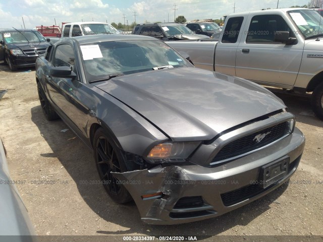 FORD MUSTANG 2013 1zvbp8am1d5251281