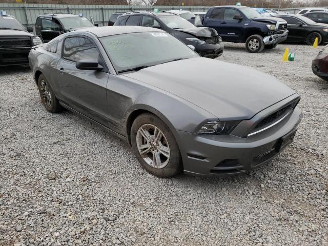 FORD MUSTANG 2013 1zvbp8am1d5252771