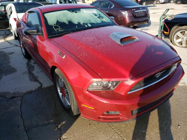 FORD MUSTANG 2013 1zvbp8am1d5261194