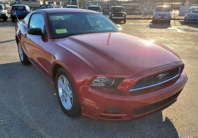 FORD MUSTANG 2013 1zvbp8am1d5261423