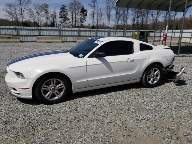 FORD MUSTANG 2013 1zvbp8am1d5261843