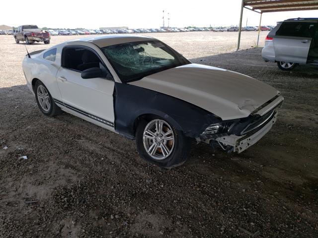 FORD MUSTANG 2013 1zvbp8am1d5262054