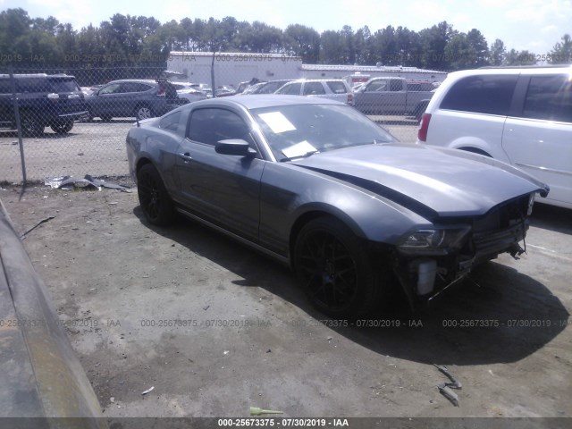 FORD MUSTANG 2013 1zvbp8am1d5263687