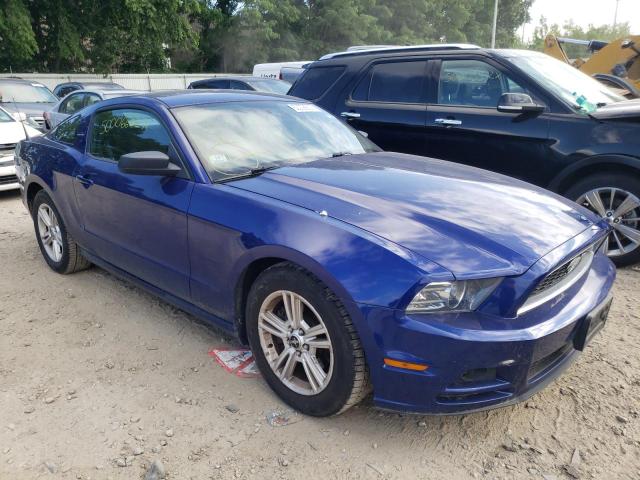 FORD MUSTANG 2013 1zvbp8am1d5265228