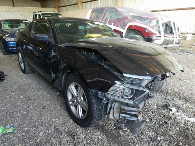 FORD MUSTANG 2013 1zvbp8am1d5266783