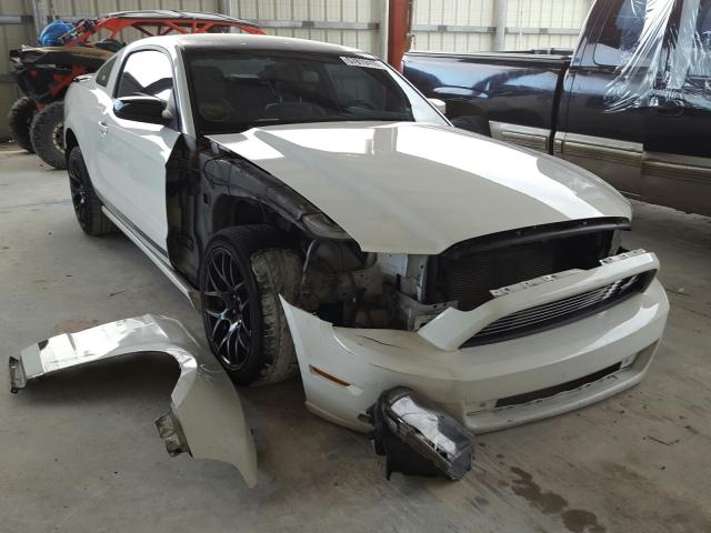 FORD MUSTANG 2013 1zvbp8am1d5268517