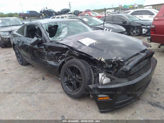 FORD MUSTANG 2013 1zvbp8am1d5269327