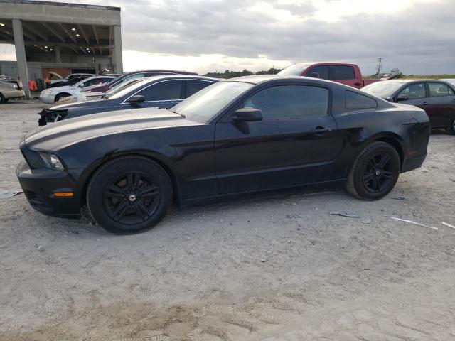 FORD MUSTANG 2013 1zvbp8am1d5272034