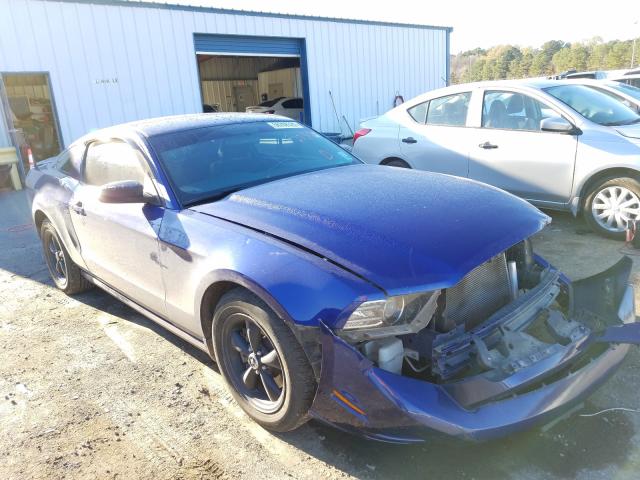 FORD MUSTANG 2013 1zvbp8am1d5273720