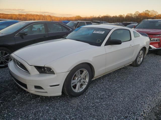 FORD MUSTANG 2013 1zvbp8am1d5276116