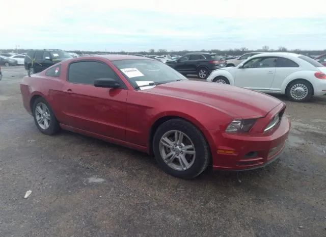 FORD MUSTANG 2013 1zvbp8am1d5277606