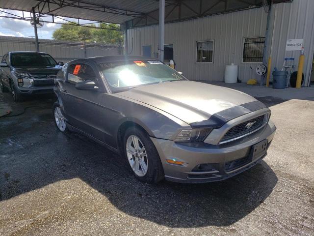 FORD MUSTANG 2013 1zvbp8am1d5279260