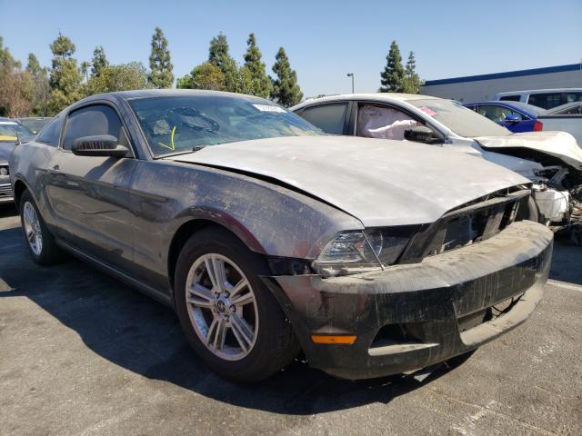 FORD MUSTANG 2013 1zvbp8am1d5279761