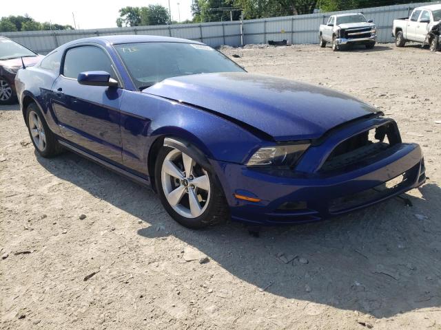 FORD MUSTANG 2013 1zvbp8am1d5279856