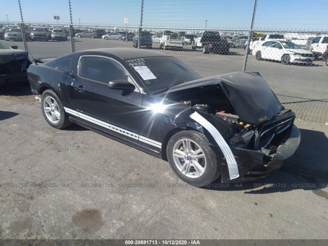 FORD MUSTANG 2013 1zvbp8am1d5282059