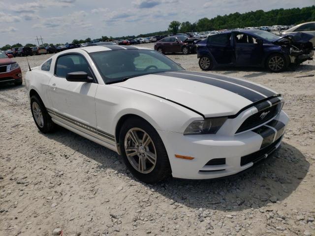 FORD MUSTANG 2013 1zvbp8am1d5283308