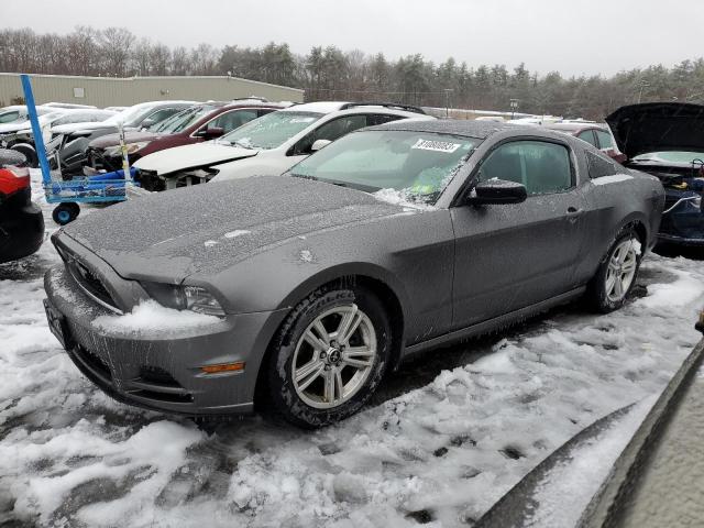 FORD MUSTANG 2014 1zvbp8am1e5220825