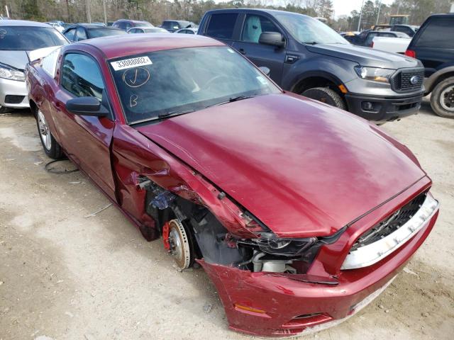 FORD MUSTANG 2014 1zvbp8am1e5221635