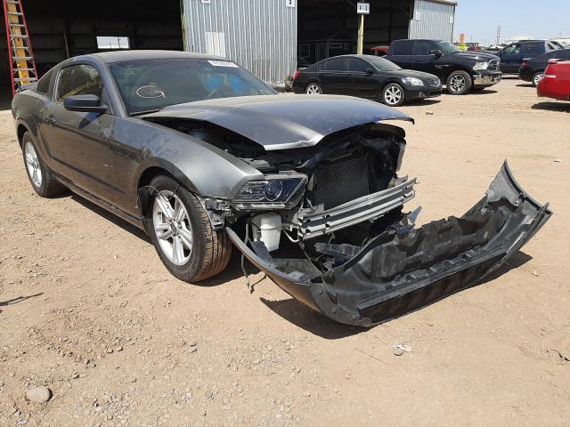 FORD MUSTANG 2014 1zvbp8am1e5250407