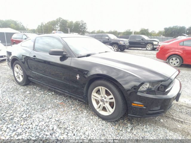 FORD MUSTANG 2014 1zvbp8am1e5253839