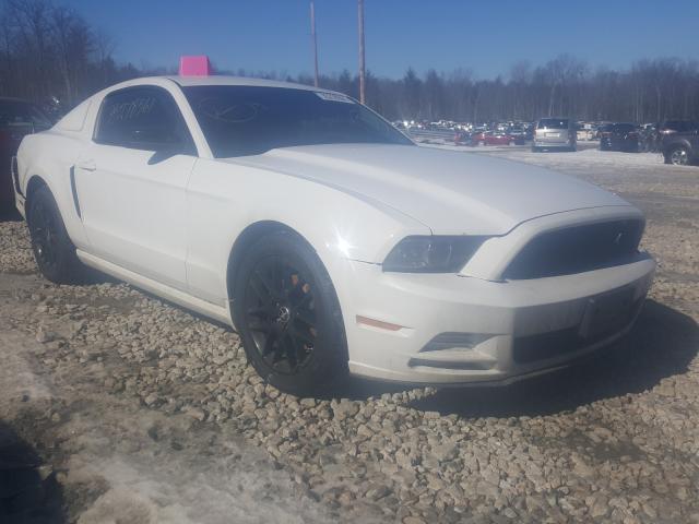 FORD MUSTANG 2014 1zvbp8am1e5255641