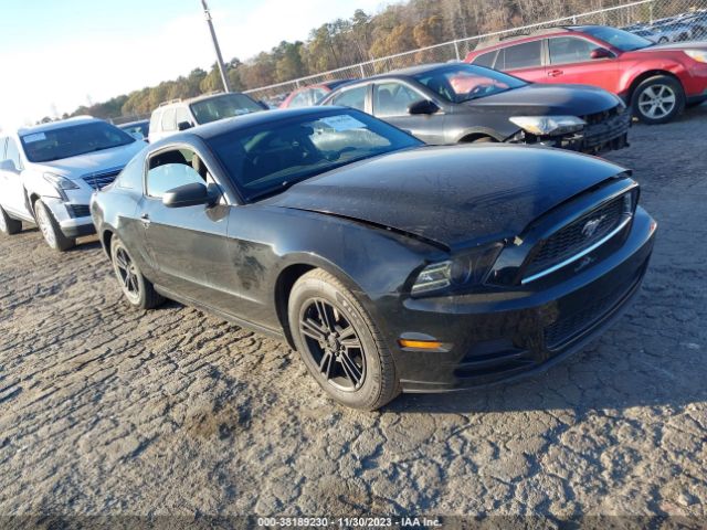 FORD MUSTANG 2014 1zvbp8am1e5267515