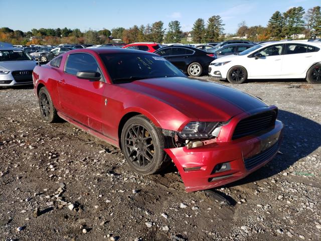 FORD MUSTANG 2014 1zvbp8am1e5280376