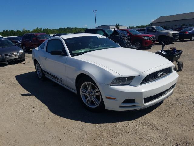 FORD MUSTANG 2014 1zvbp8am1e5282385