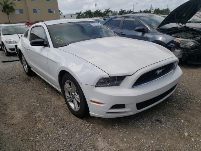 FORD MUSTANG 2014 1zvbp8am1e5282998