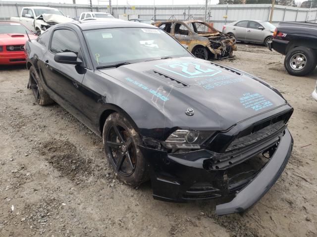 FORD MUSTANG 2014 1zvbp8am1e5303526