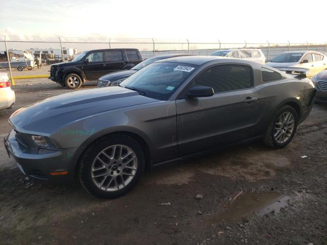 FORD MUSTANG 2011 1zvbp8am2b5105517