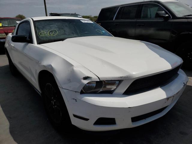 FORD MUSTANG 2011 1zvbp8am2b5112435