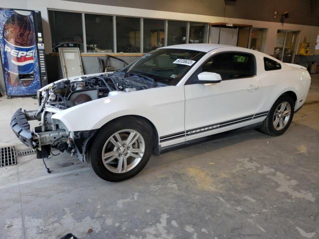 FORD MUSTANG 2011 1zvbp8am2b5114170