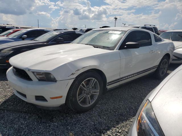 FORD MUSTANG 2011 1zvbp8am2b5114461