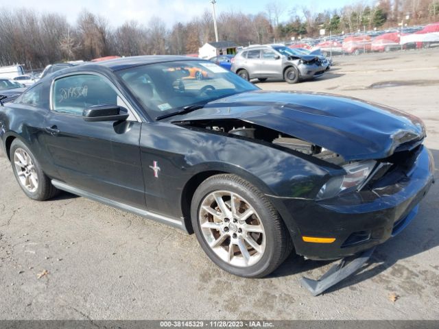 FORD MUSTANG 2011 1zvbp8am2b5116128