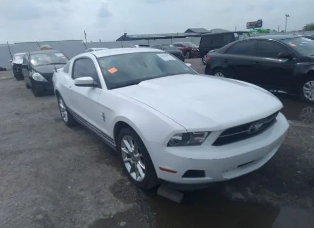 FORD MUSTANG 2011 1zvbp8am2b5119255