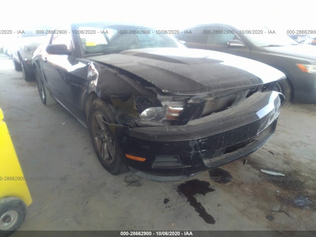 FORD MUSTANG 2011 1zvbp8am2b5124035