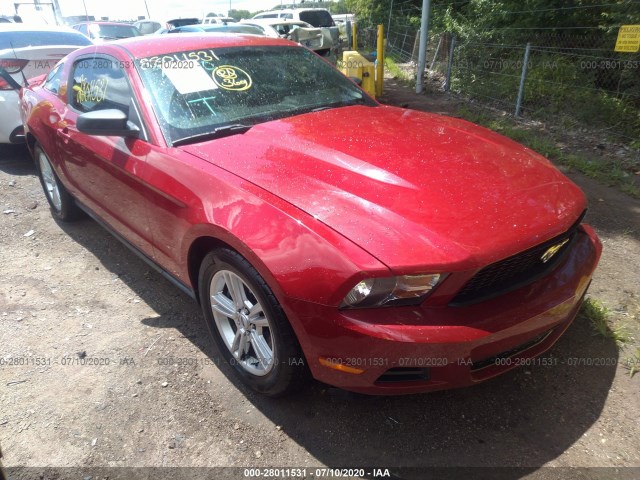 FORD MUSTANG 2011 1zvbp8am2b5128747