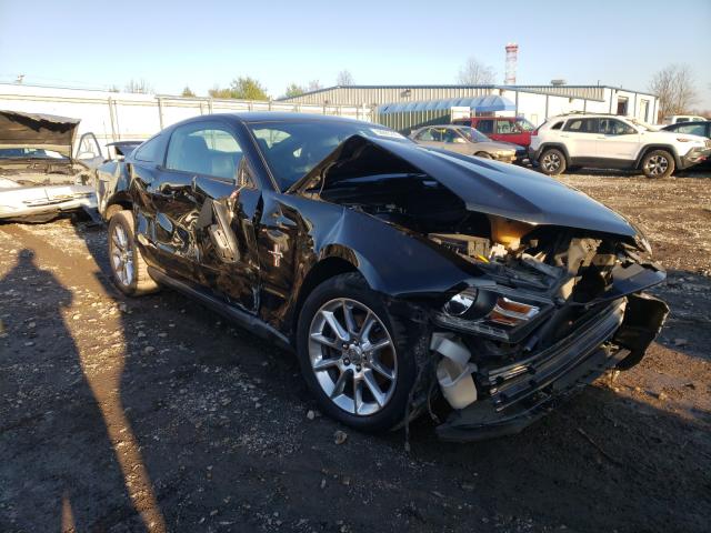 FORD MUSTANG 2011 1zvbp8am2b5131065