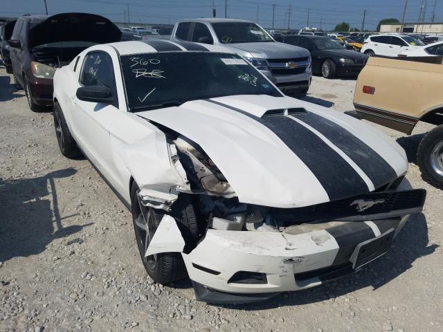 FORD MUSTANG 2011 1zvbp8am2b5131289