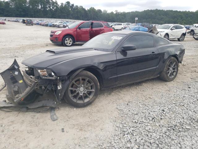 FORD MUSTANG 2011 1zvbp8am2b5132281