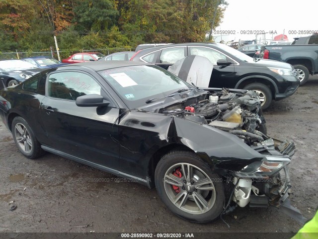 FORD MUSTANG 2011 1zvbp8am2b5132376