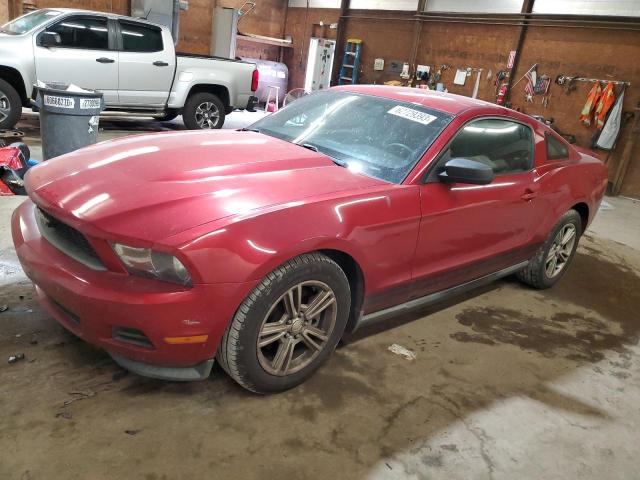 FORD MUSTANG 2011 1zvbp8am2b5133494