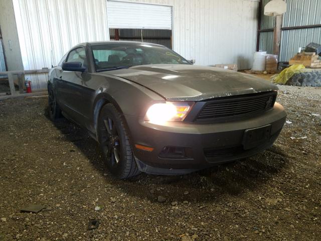 FORD MUSTANG 2011 1zvbp8am2b5135391