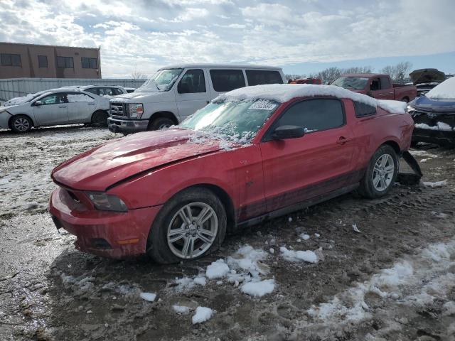 FORD MUSTANG 2011 1zvbp8am2b5136735