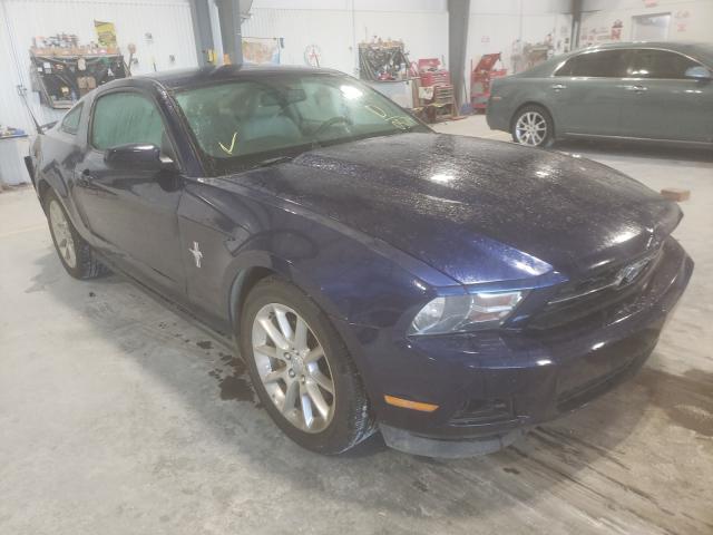 FORD MUSTANG 2011 1zvbp8am2b5140574