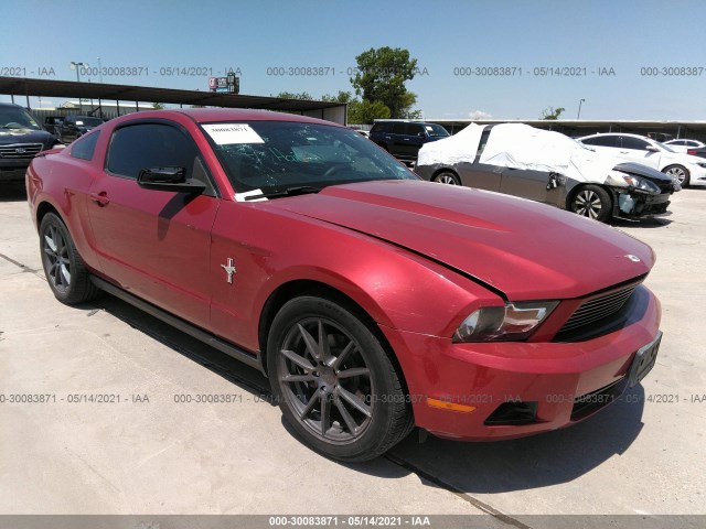 FORD MUSTANG 2011 1zvbp8am2b5141594